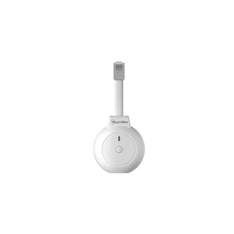 Hoymiles P1 Meter